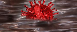tsp-coronavirus.jpg