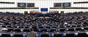 Im kommenden Jahr wird das Europaparlament neu gewählt. 