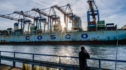 Ein Containerschiff am Hamburger Hafen. 