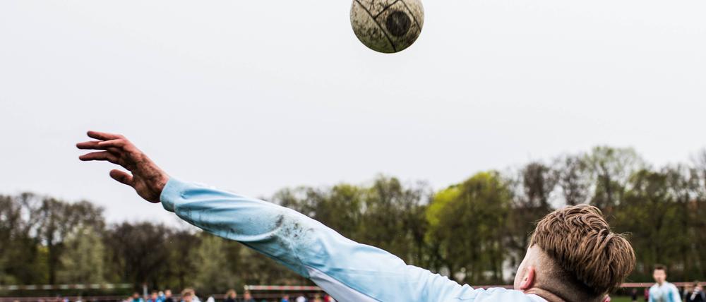 Am Wochenende wird im Schillerpark auf knapp 20 Feldern Faustball gespielt.