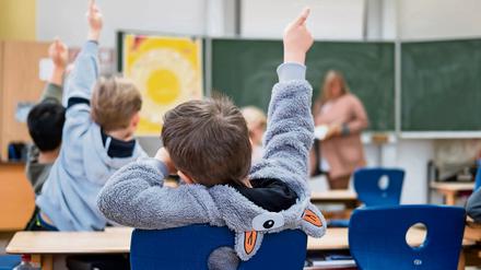 Schüler sitzen am 10.02.2017 im Unterricht in einer Grundschule in Niedersachsen. 