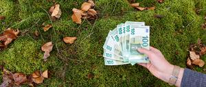 100 euro bills lie on moss in the forest on Feb 12, 2023 in Pfaffenhofen a.d.Ilm, Bavaria, Germany.