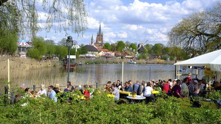 Baumblütenfest: wird der Stadt das neue Konzept gelingen?