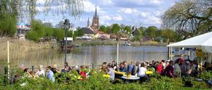 Baumblütenfest: wird der Stadt das neue Konzept gelingen?