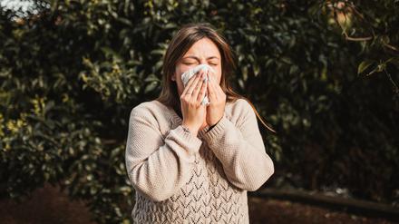 Hasel, Birke, Esche, Linden – im Frühling und Sommer fliegen viele Pollen, die Allergien auslösen können.