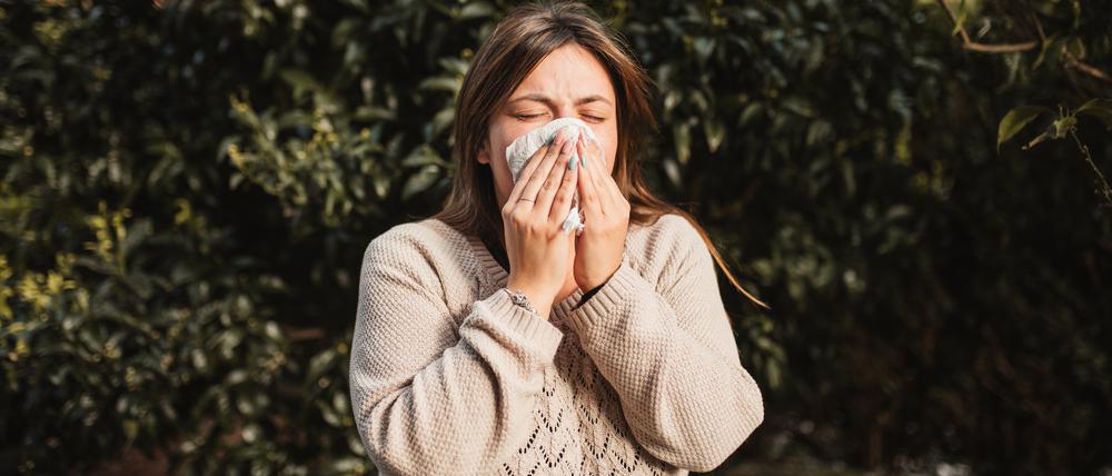 Hasel, Birke, Esche, Linden – im Frühling und Sommer fliegen viele Pollen, die Allergien auslösen können.