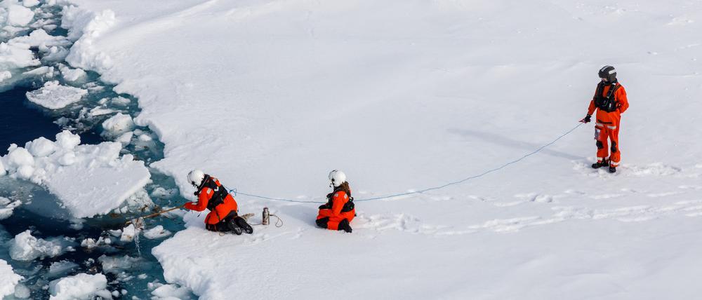 Forschende um die Biologin Melanie Bergmann vom Alfred-Wegener-Institut untersuchen auf einer Polarstern Expedition in der Arktis, wie viel Mikroplastik in Aggregaten der Eisalge Melosira arctica und dem Meerewasser direkt neben Eisschollen ist. 
