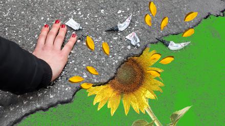 Klimaaktivisten und die Grünen
