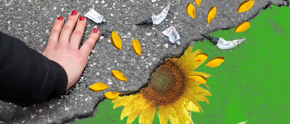Klimaaktivisten und die Grünen