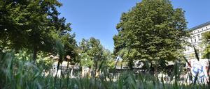Eine Grünfläche zwischen Oberbaumstraße und Falckensteinstraße - Ecke Schlesische Straße in Berlin-Kreuzberg, aufgenommen am 1. August 2020.

Foto: Kitty Kleist-Heinrich