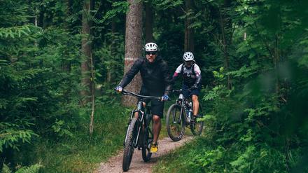Durch den dichten Wald: der Autor mit Begleiter.