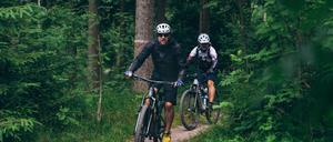Durch den dichten Wald: der Autor mit Begleiter.