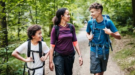Die Berliner Waldgebiete sind bei Wanderern besonders beliebt.