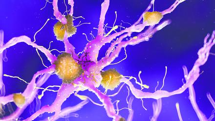 Das Kälteschutzprotein RMB3 schützt Nervenzellen vor dem Absterben. Wie es gebildet wird, entschlüsselten nun Florian Heyd und sein Team.