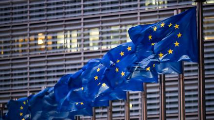 Brüssel ist der Sitz der EU-Kommission. Doch nach der Ansicht der französischen Europa-Staatssekretärin Laurence Boone ist Straßburg als Sitz des EU-Parlaments ebenso wichtig. 