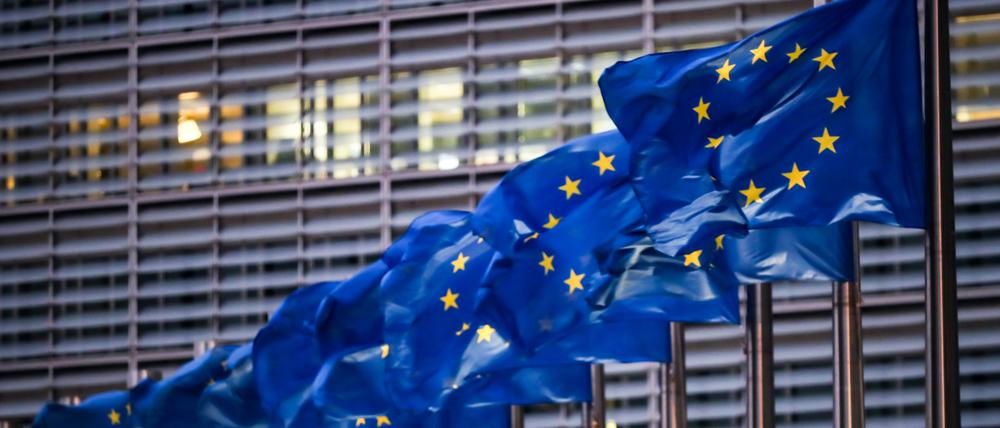 Brüssel ist der Sitz der EU-Kommission. Doch nach der Ansicht der französischen Europa-Staatssekretärin Laurence Boone ist Straßburg als Sitz des EU-Parlaments ebenso wichtig.