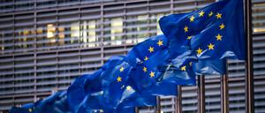 Brüssel ist der Sitz der EU-Kommission. Doch nach der Ansicht der französischen Europa-Staatssekretärin Laurence Boone ist Straßburg als Sitz des EU-Parlaments ebenso wichtig. 