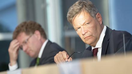 Bundeswirtschaftsminister Robert Habeck (Grüne)