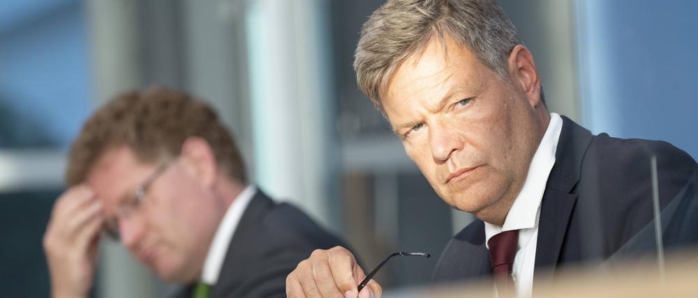 Bundeswirtschaftsminister Robert Habeck (Grüne)
