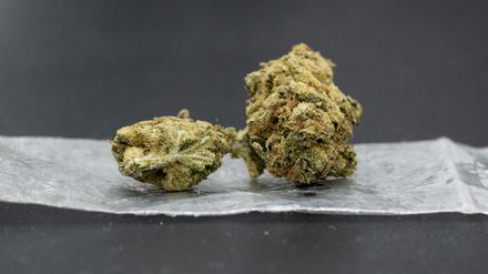 Eine Cannabisblüte liegt auf einem Plastikbeutel.