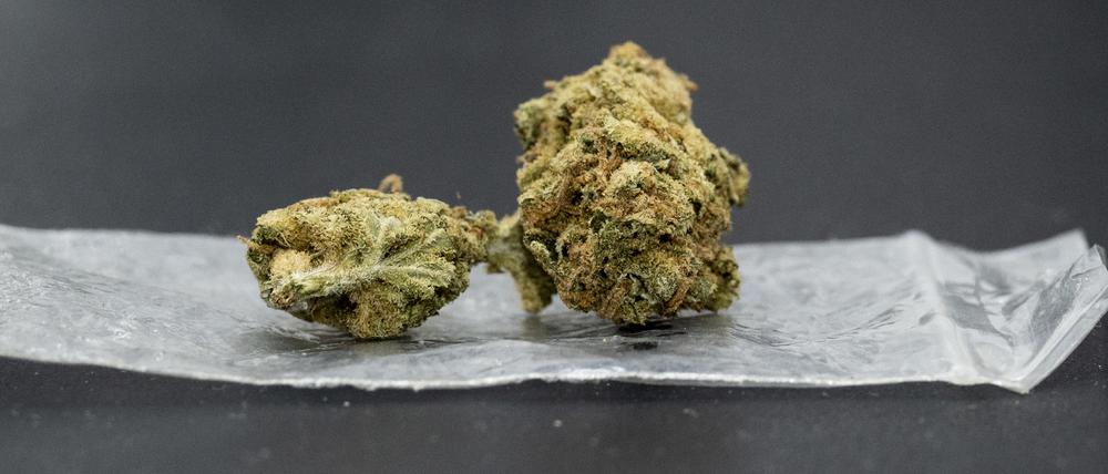 Eine Cannabisblüte liegt auf einem Plastikbeutel.