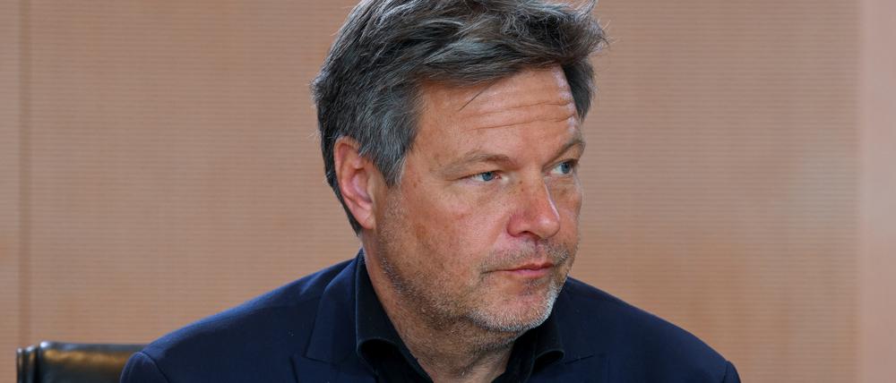 Wirtschaftsminister Robert Habeck.