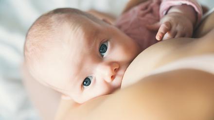 Stillen klappt intuitiv? Nicht immer. Bei Problemen können qualifizierte Stillberaterinnen aber meist schnell helfen.