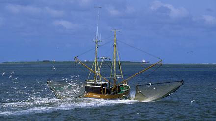 Fischkutter in der Nordsee