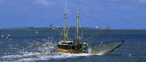 Fischkutter in der Nordsee