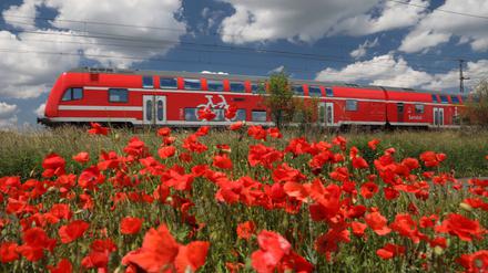 Ein Regionalzug im rot-grünen Bereich.