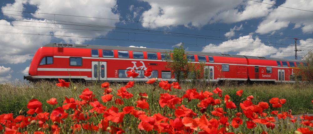 Ein Regionalzug im rot-grünen Bereich.