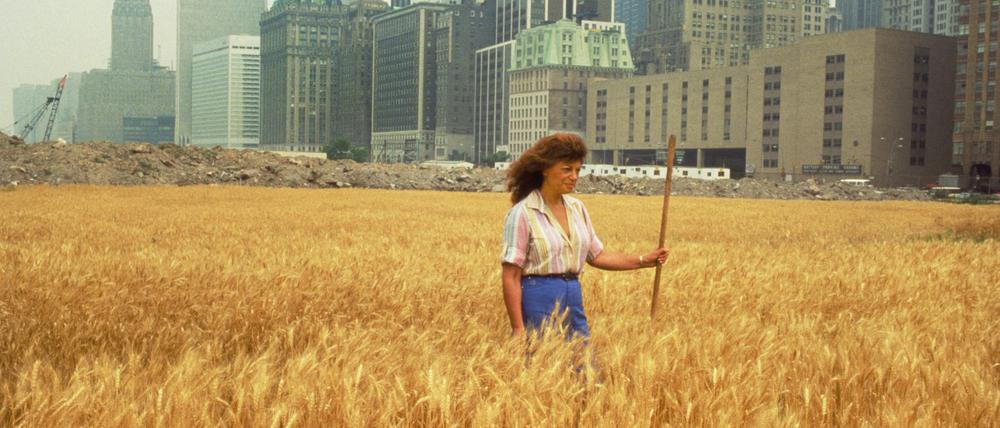 Die Künstlerin Agnes Denes, hier auf einem Kornfeld vor Manhattan 1982, kommt nach Luckenwalde.