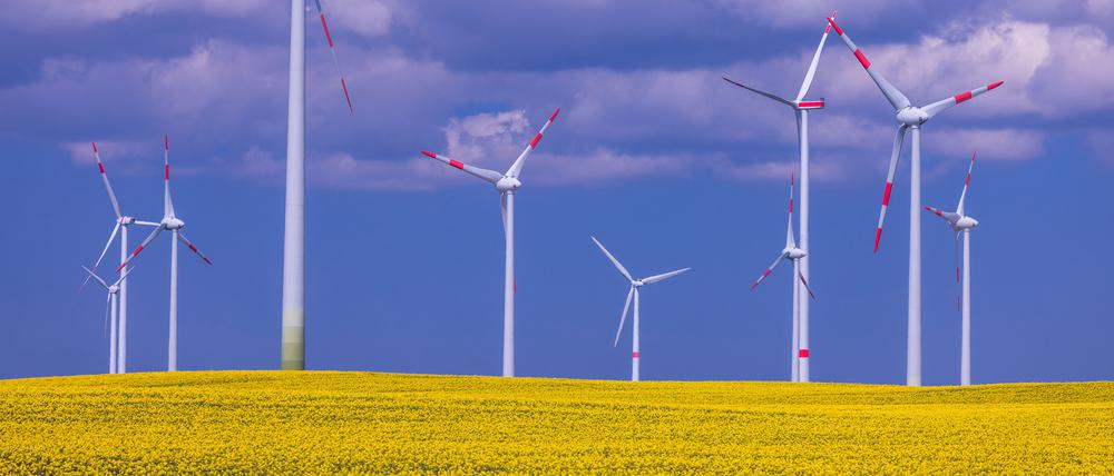 Windkraftanlagen verschiedener Hersteller drehen sich hinter einem blühenden Rapsfeld in einem Windpark.