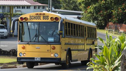Der 13-jährige Dillon Reeves stoppte in Warren im US-Bundesstaat Michigan einen Schulbus nach einem medizinischen Notfall der Fahrerin.