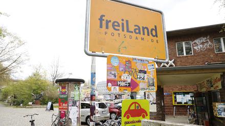 Freiland Potsdam 27.04.2023 Foto: PNN/Sebastian Gabsch