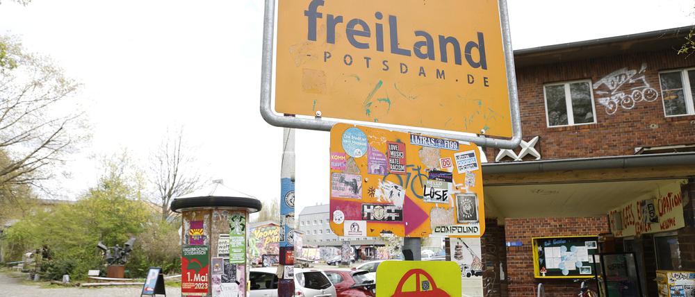 Freiland Potsdam 27.04.2023 Foto: PNN/Sebastian Gabsch