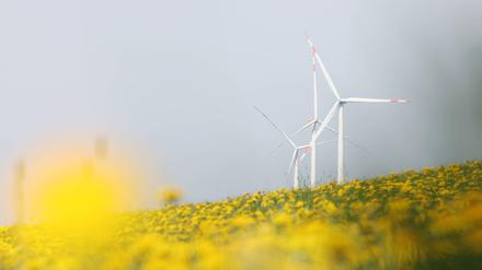 Frühlingstag mit Sonnenschein (Archivbild).