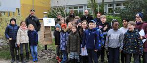Kinder pflegen das Insektenhotel. 