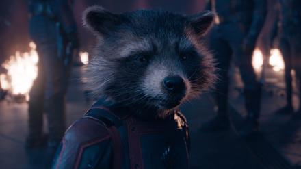 Rocket (voiced by Bradley Cooper) in Marvel Studios' Guardians of the Galaxy Vol. 3. Photo courtesy of Marvel Studios. © 2023 MARVEL. Guardians of the Galaxy: Volume 3 