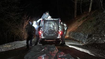Mitarbeiter des Trentiner Forstkorps bereiten am 18. April den Transport der Bärin JJ4, die mit Hilfe einer großen Rohrfalle gefasst wurde, in ein Wildreservat vor.