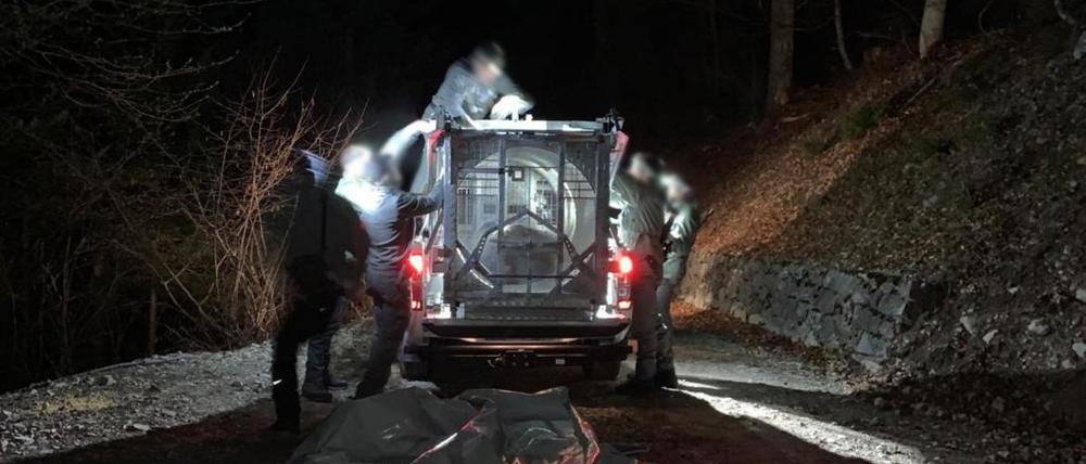 Mitarbeiter des Trentiner Forstkorps bereiten am 18. April den Transport der Bärin JJ4, die mit Hilfe einer großen Rohrfalle gefasst wurde, in ein Wildreservat vor.