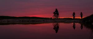 Ausflügler fahren am 12.08.2015 mit ihrem Fahrrad bei Gülpe (Brandenburg) auf einem Feldweg entlang und spiegeln sich dabei in einer Pfütze. Foto: Lukas Schulze/dpa ++ +++ dpa-Bildfunk +++