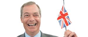 Nigel Farage im Juni 2016.