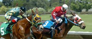 Erster beim Klonen, nur vierter beim Pleasanton-Rennen: Idaho Gem.