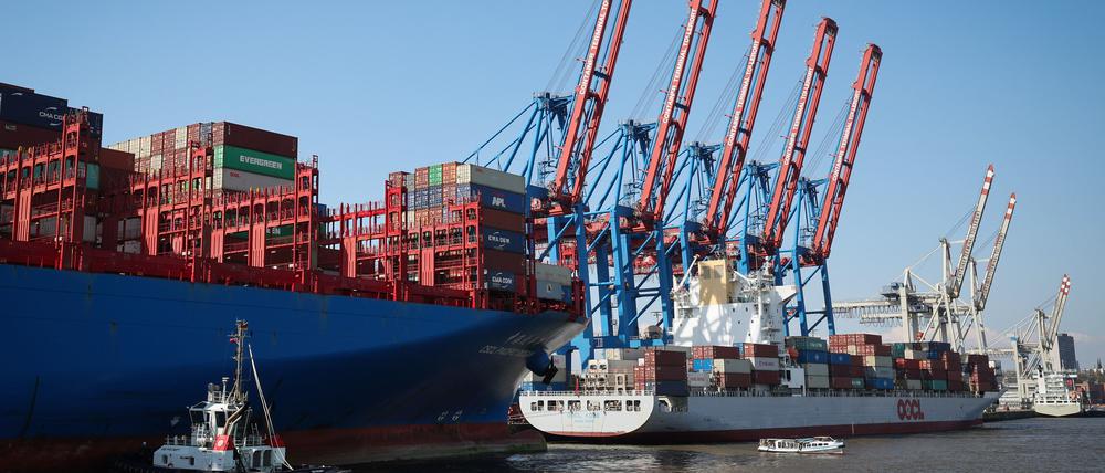Containerschiffe liegen am Terminal Tollerort der Hamburger Hafen und Logistik AG (HHLA).