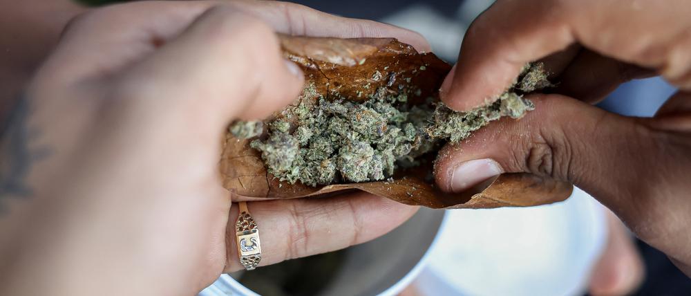 Cannabis-Legalisierung könnte Staat um mehr als eine Milliarde Euro pro Jahr entlasten.