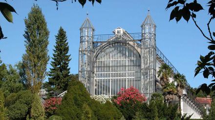 Das Mittelmeerhaus im Botanischen Garten Berlin ist wegen seiner Statik angegriffen. Sanierungsmittel vom Land wird es aber nicht geben, weshalb es zu schließen droht.