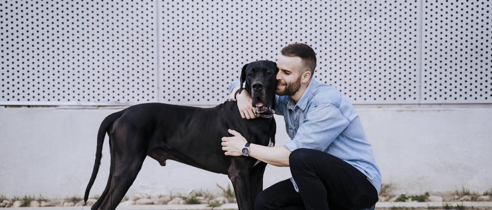 Happy young man cuddling his dog outdoors model released Symbolfoto property released EBBF00119