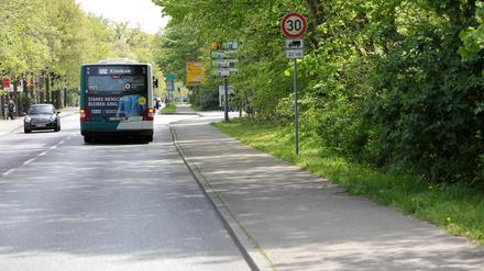 Die Potsdamer Straße in Bornim soll stadteinwärts eine eigene Busspur plus einen besseren Radweg erhalten. Dafür muss allerdings ein Stück des Katharinenholzes dort weichen. 
