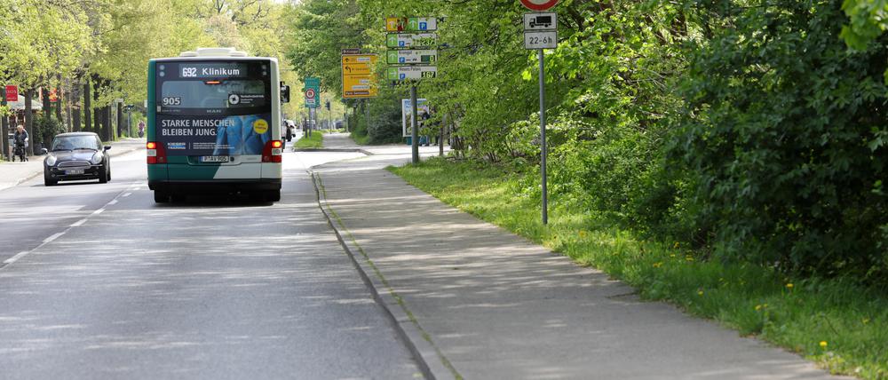 Die Potsdamer Straße in Bornim soll stadteinwärts eine eigene Busspur plus einen besseren Radweg erhalten. Dafür muss allerdings ein Stück des Katharinenholzes dort weichen.